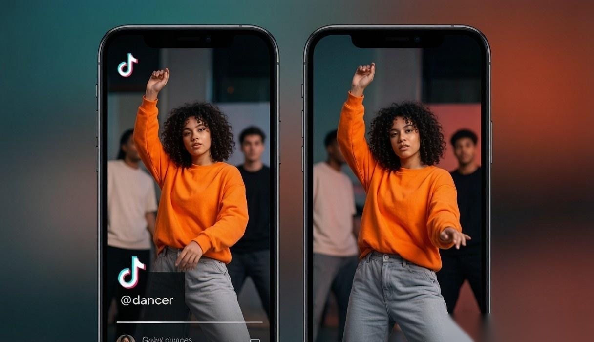 suppresseur de filigrane tiktok
